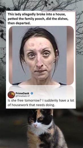 The world’s most helpful burglar 🧼 | relatable American memes | primedank