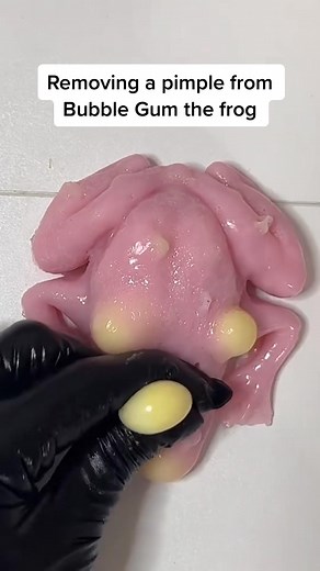 Buble gum the frog super satisfying pimple popping #mochipimplepopping #mochipimplepopper #sosatisfying #asmrvideo #fyp #mochipimplepops #visualasmr #mochipimplepops #frogsoftiktok #frogsquishmallow | Bella Jones