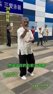 陳氏太極拳38勢～34.高探馬 Chen-Style Tai Chi 38 Forms