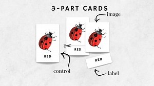 Color Flash Cards for Kids, Printable PDF, Educational Learning Tool, Matching Game, Homeschool and Classroom Activity, 5x7 & 3x5 Sizes - Etsy Australia