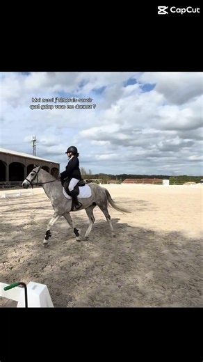 Alors ?? #equitation #cheval #horse #equestrian #pony #jumping