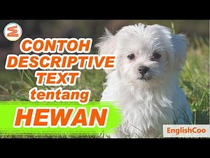 CONTOH DESCRIPTIVE TEXT TENTANG HEWAN PELIHARAAN ANJING (DOG) | Descriptive Text about Animal