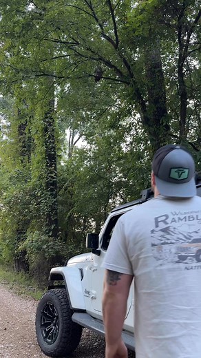 1.6M views · 113K reactions | Say good morning to pretty lady on this beautiful Saturday morning she seems to be doing great!!! | Kyle Underwood photography | Facebook