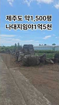 1500평 평당 10만원꼴 도로좋은 나대지임야 구입찬스 농사가능. 2026년7월30일업로드