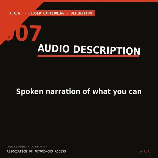 AUDIO DESCRIPTION — For the Eyes That Can't See the Screen | A.A.A. #007