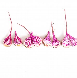 CHICAGO! Join the movement against food waste by embracing ugly produce. We source cosmetically challenged produce, rejected by stores for their looks, and deliver them to your doorstep for CHEAP! | Imperfect Foods