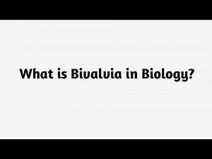 What is Bivalvia in Biology ?