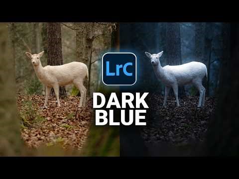 From FLAT to CINEMATIC: Editing a DARK Photo in Lightroom!