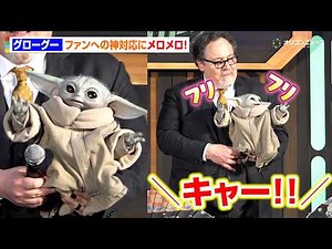 【スター・ウォーズ】グローグーが可愛すぎる！ファンへの神対応に会場メロメロ アンバサー務める中島裕翔も大興奮 『スター・ウォーズ／マンダロリアン・アンド・グローグー』来日ジャパンプレミア