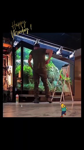 Aquascaping for Beginners | Step-by-Step Guide to Creating Your First Aquarium