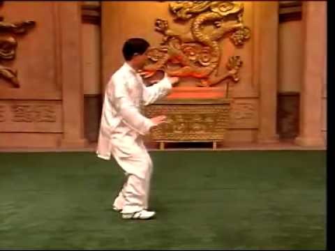 Chen Style Tai Chi Chuan 18 form 陳氏太極拳精要十八式
