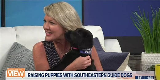 Meeting future guide dog, Pretty Pup, from Southeastern Guide Dogs | Suncoast View (August 10, 2023)