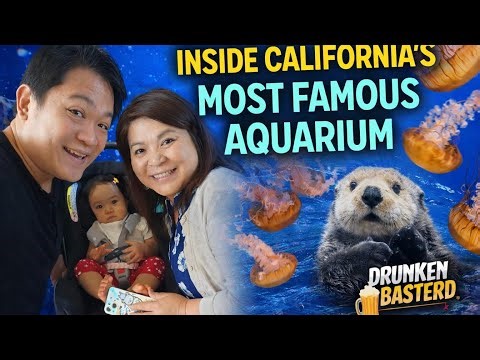 Exploring Monterey Bay Aquarium for the First Time — One of California’s Best Aquariums?