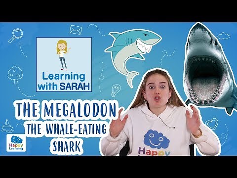 MEGALODON: THE WHALE EATING SHARK | LEARNING WITH SARAH | Educational Videos for Kids