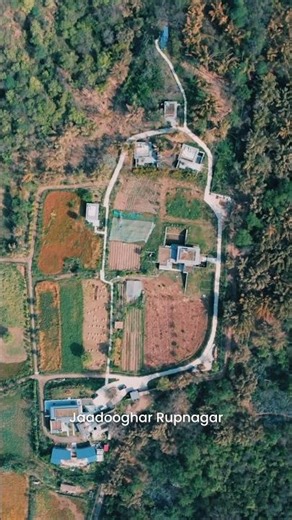 A luxurious stay 1 hour from Chandigarh!