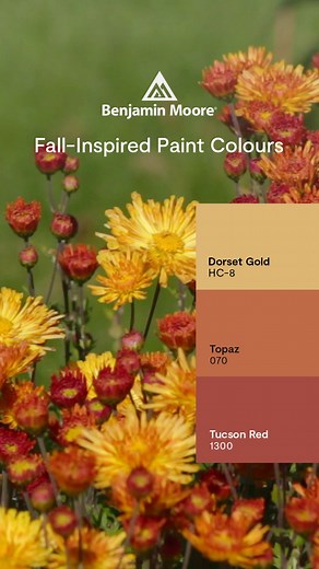 Give your home a burst of fresh colour with this Benjamin Moore mini palette reminiscent of a fall floral arrangement. Shop one, two, or all three hues now when you visit our locally owned store for a colour sample. | Color Company Decorating Centre