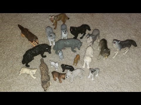 My Wolf/coyote Collection!!!
