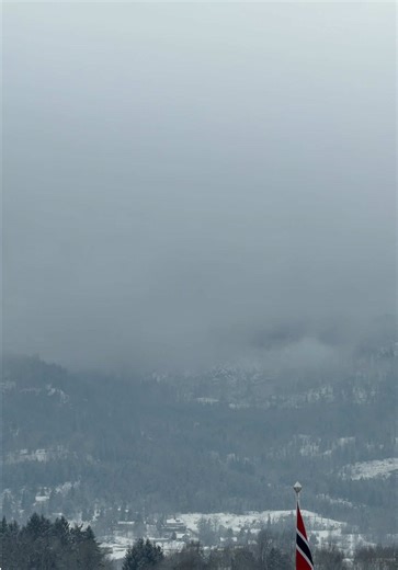 Heavy on that goverment thing | glen powell and brooke