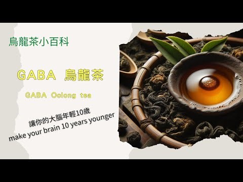 【烏龍茶小百科】 GABA 烏龍茶：研究顯示，每天一杯能讓你的大腦年輕10歲！台灣讓它變得更好喝_GABA Oolong tea: make your brain 10 years younger!
