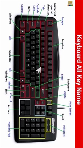 computer short ki shortcut key #computer #shortcutkey #cat #computershorts #keyboard