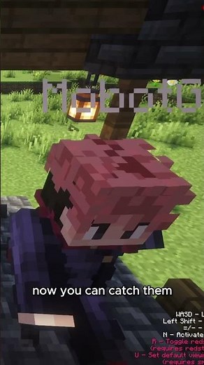 How to Stop Griefing in Minecraft