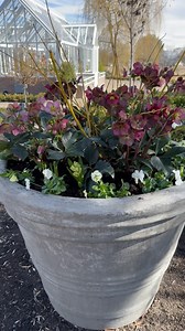 311K views · 11K reactions | I  spring! | Garden Answer | Facebook