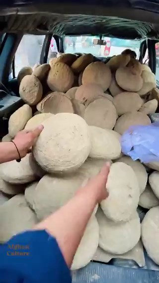 food preservation in Afghanistan, where grapes are kept substantially fresh for 6 months using a mud-straw container known as kangina,