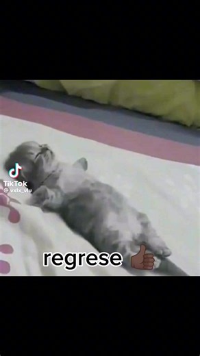 Videos de flor 🌼 🌷 🌹 ⚜️ (@azami494) con “sonido original - flor 🌼 🌷 🌹 ⚜️”