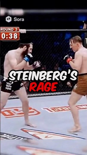Steinberg OBLITERATED Him.