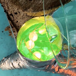 Create stunning masterpieces with these ingenious epoxy resin projects | 5-Minute Recycle