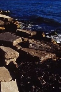 Low Tide (2019) Streaming - Where to Watch Online