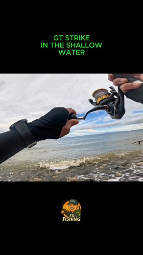 11K views · 298 reactions | GT strike sa mamabaw. #dumagueteangler #shorecasting #sportsfiishing #fishing #fish #fishinglife #outdoors #nature #angler #fishingtrip #fishingaddict #fisherman #saltwaterfishing #hunting #bigfish #angling #fishingdaily #troutfishing #photography #shimano #pike #fishon #funnyfish #reels #gianttrevally | ED | Facebook