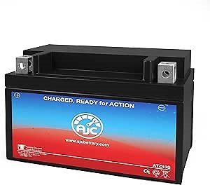 AJC Battery Compatible with Sym HD200 Scooter and Moped Battery (2010-2013)