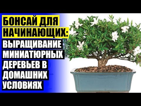 КАКОЕ РАСТЕНИЕ ЛУЧШЕ ДЕРЖАТЬ В СПАЛЬНЕ ❗ КУПИТЬ ИСКУССТВЕННЫЕ ЦВЕТЫ В ГОРШКАХ ДЛЯ ДОМАШНЕГО ИНТЕРЬЕ