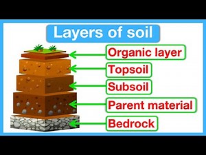 Layers of soil | Structure of the soil | Educational Science Lesson