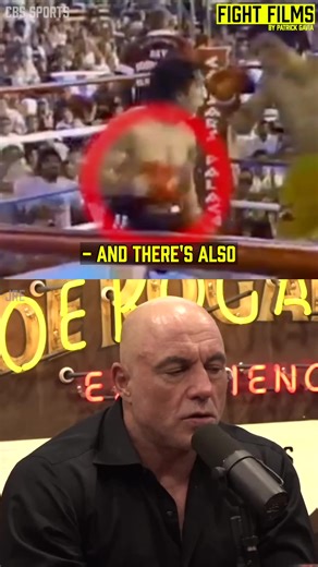 Trump & Joe and Dangers of UFC #combatsports #mma #ufc #joerogan #knockout #boxing