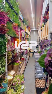 3.8K views · 71 reactions | Flower heaven on wheels!  When a truck full of flowers arrives, you know it’s going to be a good day!  #flowerheaven #bloomonwheels #floralmagic #truckloadofblooms #petalparadise #flowerdeliveryday #gooddaywithblooms #floristdream #endlessinspiration #freshflowerfix | Van der Plas Flowerexport | Facebook