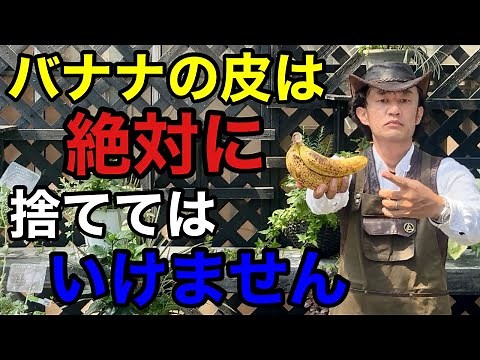 [Eye-opening] I'll show you a great way to use banana peels [Carmen-kun] [Gardening] [Soil prepar...