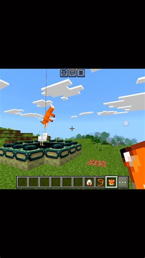 I Outsmarted a Fox! 🦊 #minecraft #dios