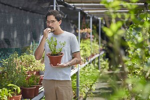 Meet the local farmers growing vegetables in underused spaces to feed S’pore sustainably