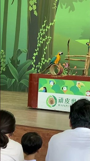 頑皮世界 金剛鸚鵡表演🦜 #臺南旅遊 #頑皮世界 #鸚鵡 #show