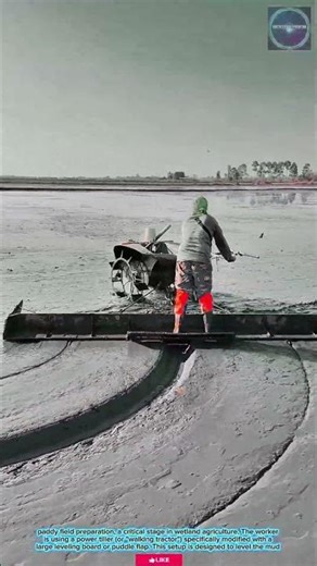Efficient & Level: Power Tiller with Puddle Flap for Precise Wetland Paddy Preparation