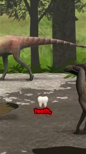 Dino Diet Secret Busted by 230 Million-Year-Old Poop!