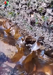 this a masterpiece | My Lovely Myanmar Travels & Tours | Facebook