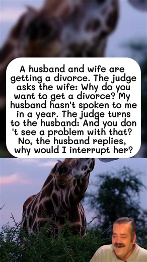 Husband's Brutal Honesty in Divorce Court 😂💸 #funny