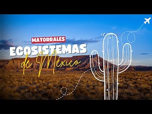Matorrales-Ecosistemas de México.
