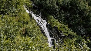 Waterfall nestled in the bushes of alpine flora - Italian Alps