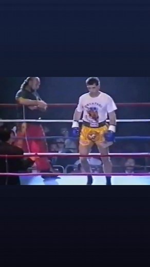 🇭🇷🐅 The Croatian Tiger Branko Cikatic 🏆 🥇#brankocikatic #kickboxer #kickboxing #croatia #hrvatska #martialarts #chakuriki | Branko Cikatic The Croatian Tiger