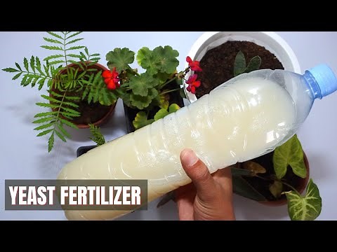 yeast fertilizer for plants | best organic liquid fertilizer for plants