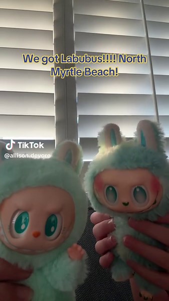 Labubuthemonsters: 신나는 여름의 모험